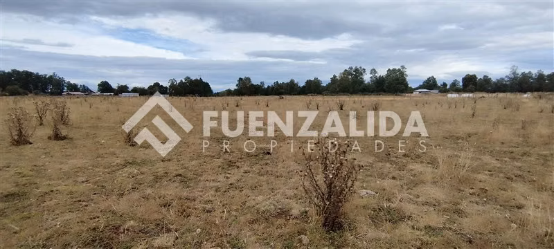 Parcelas 5000 m2 - Sector Cañitas, Rio Frio, Los Muermos - Imagen 8