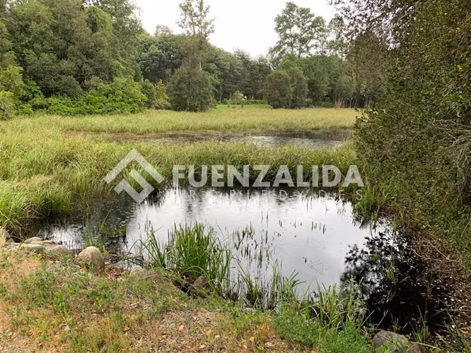 Parcela en venta en Panguipulli