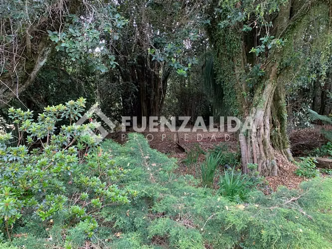 Parcela en venta en Panguipulli - Imagen 19