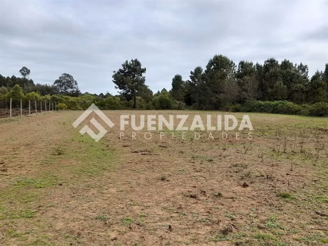 Parcela Agrícola en Venta San Ignacio Ñuble