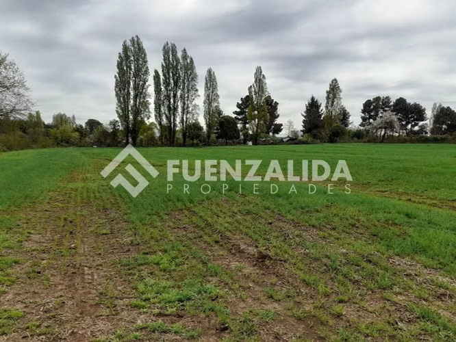 Parcela Agrícola en Venta San Ignacio Ñuble
