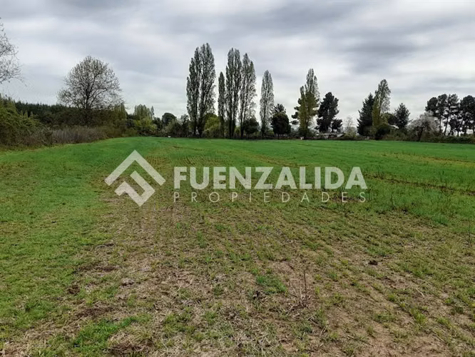 Parcela Agrícola en Venta San Ignacio Ñuble