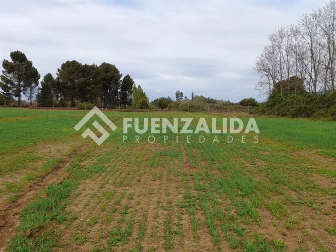 Parcela Agrícola en Venta San Ignacio Ñuble