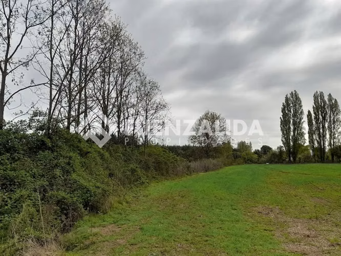 Parcela Agrícola en Venta San Ignacio Ñuble