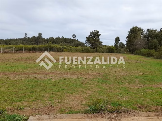 Parcela Agrícola en Venta San Ignacio Ñuble