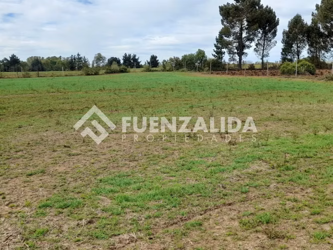 Parcela Agrícola en Venta San Ignacio Ñuble