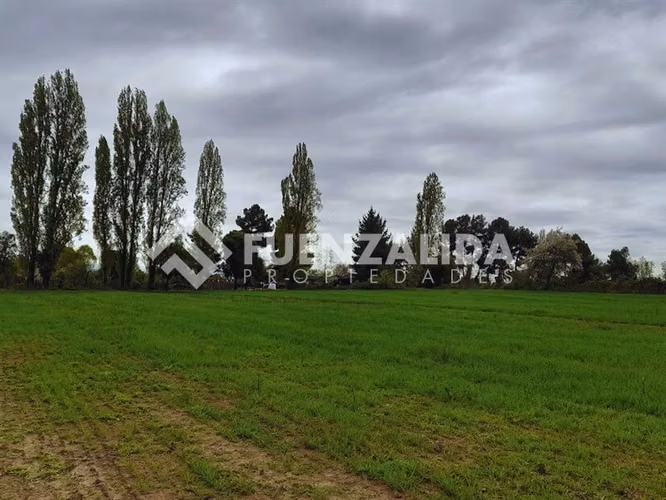 Parcela Agrícola en Venta San Ignacio Ñuble