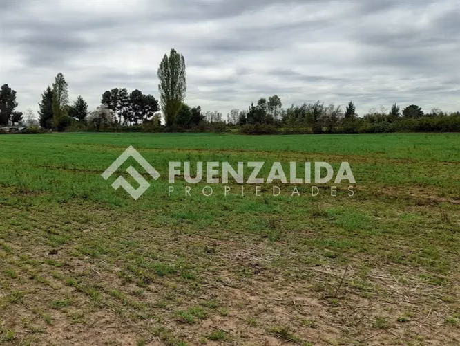 Parcela Agrícola en Venta San Ignacio Ñuble