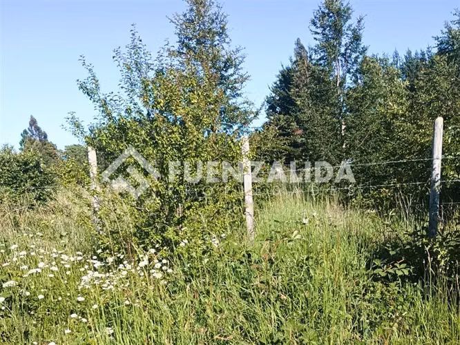 Venta Terreno 5000 m2 en Freire a minutos del aeropuerto