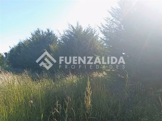 Venta Terreno 5000 m2 en Freire a minutos del aeropuerto