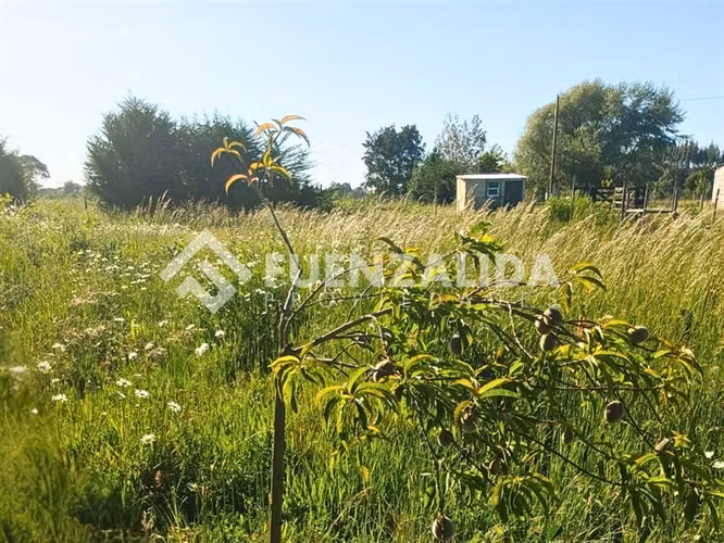 Venta Terreno 5000 m2 en Freire a minutos del aeropuerto