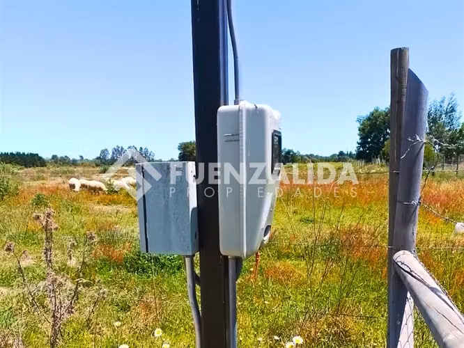 Venta Terreno 5000 m2 en Freire a minutos del aeropuerto