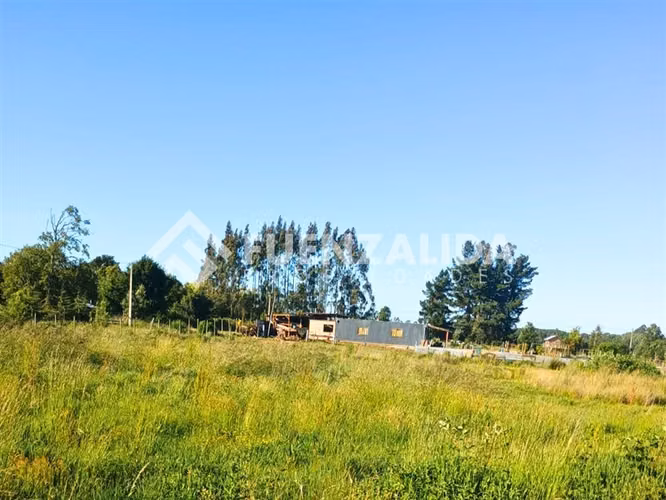 Venta Terreno 5000 m2 en Freire a minutos del aeropuerto