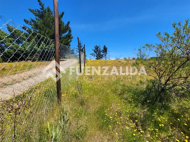 Parcela en venta en Yumbel