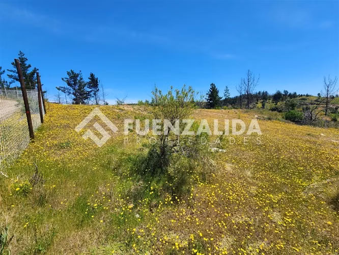 En venta 5000 m2 para disfrutar y proyectar Perigallo Yumbel
