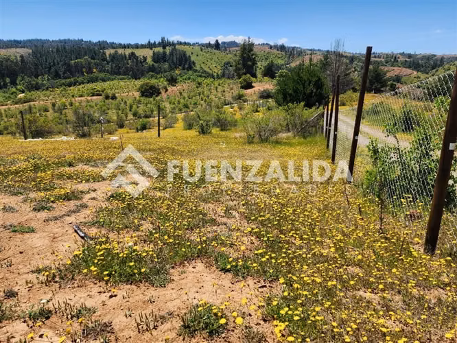 En venta 5000 m2 para disfrutar y proyectar Perigallo Yumbel