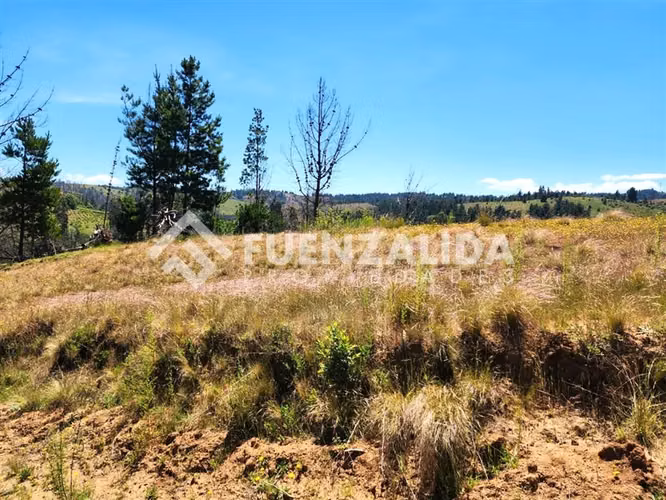 En venta 5000 m2 para disfrutar y proyectar Perigallo Yumbel