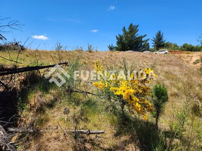 En venta 5000 m2 para disfrutar y proyectar Perigallo Yumbel