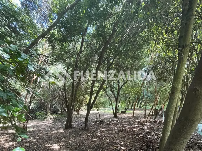 Venta parcela en Quillón con Piscina y Jardín formado