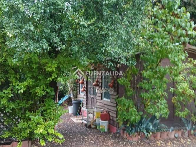 Venta parcela en Quillón con Piscina y Jardín formado - Imagen 14