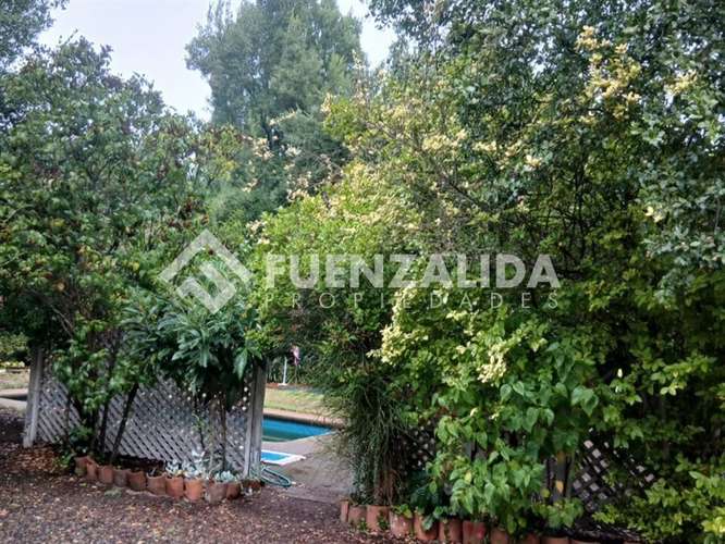 Venta parcela en Quillón con Piscina y Jardín formado - Imagen 21