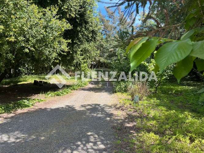 Venta parcela en Quillón con Piscina y Jardín formado - Imagen 24