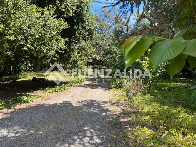 Venta parcela en Quillón con Piscina y Jardín formado