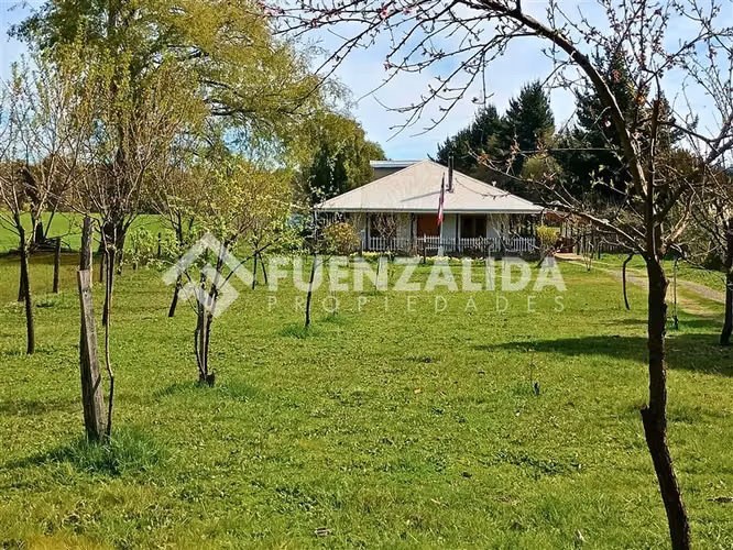 Venta Parcela 15000 m2 con casa en San Fabián de Alico