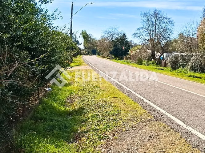 Venta Parcela 15000 m2 con casa en San Fabián de Alico