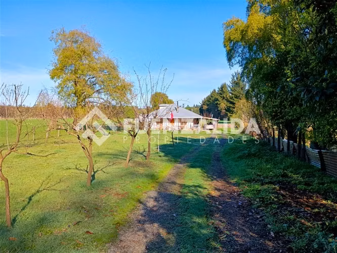 Venta Parcela 15000 m2 con casa en San Fabián de Alico