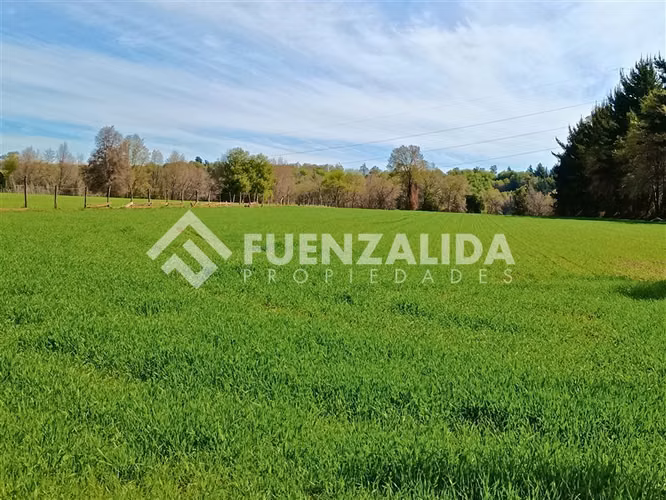 Venta Parcela 15000 m2 con casa en San Fabián de Alico