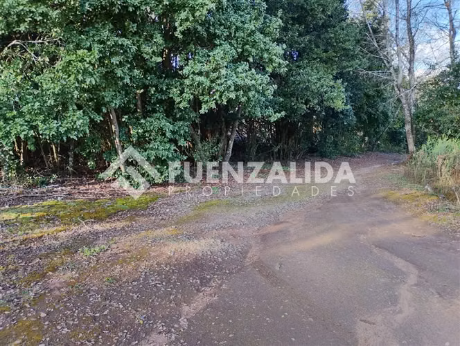 Venta Parcela 5000 m2 camino a Rafael, comuna de Tomé