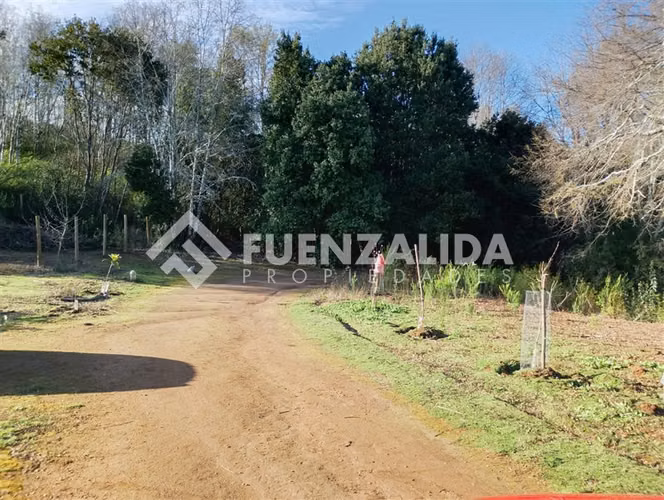 Venta Parcela 5000 m2 camino a Rafael, comuna de Tomé