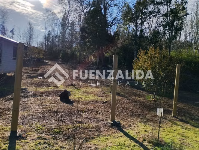 Venta Parcela 5000 m2 camino a Rafael, comuna de Tomé
