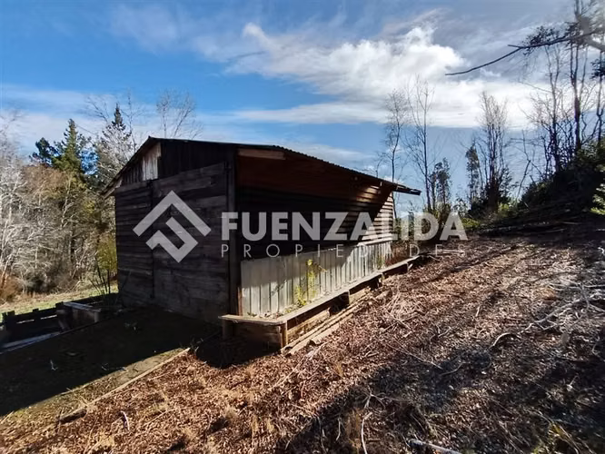 Venta Parcela 5000 m2 camino a Rafael, comuna de Tomé