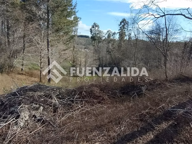 Venta Parcela 5000 m2 camino a Rafael, comuna de Tomé