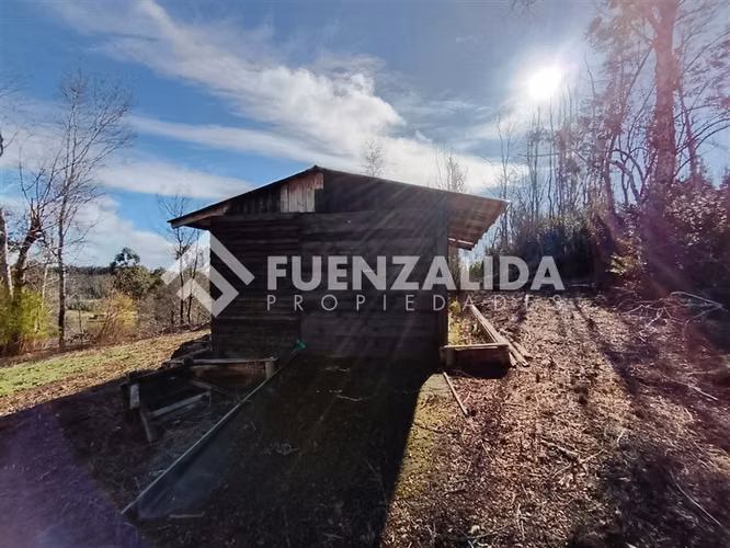 Venta Parcela 5000 m2 camino a Rafael, comuna de Tomé