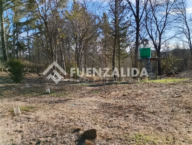 Venta Parcela 5000 m2 camino a Rafael, comuna de Tomé