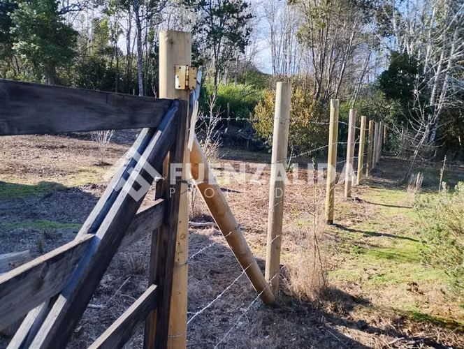 Venta Parcela 5000 m2 camino a Rafael, comuna de Tomé