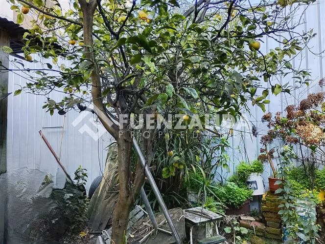 Venta sitio casa y local comercial, centro en Concepción