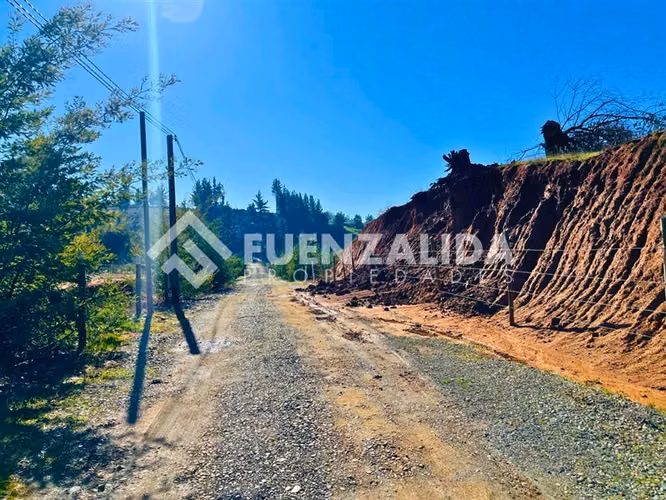 Parcela en venta a 17 km de Quillón Sector Huacamala