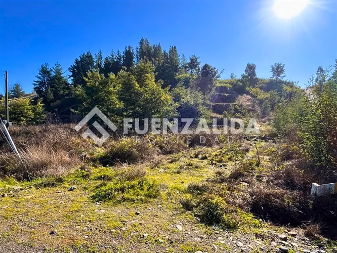 Parcela en venta a 17 km de Quillón Sector Huacamala