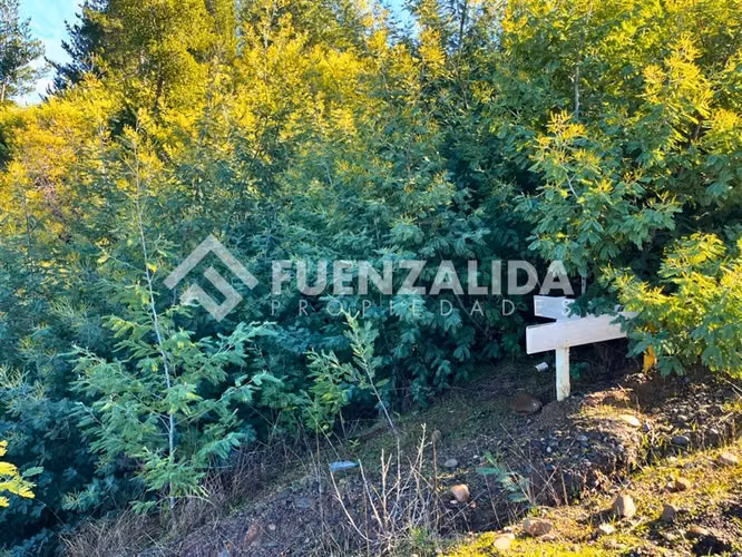 Parcela en venta a 17 km de Quillón Sector Huacamala