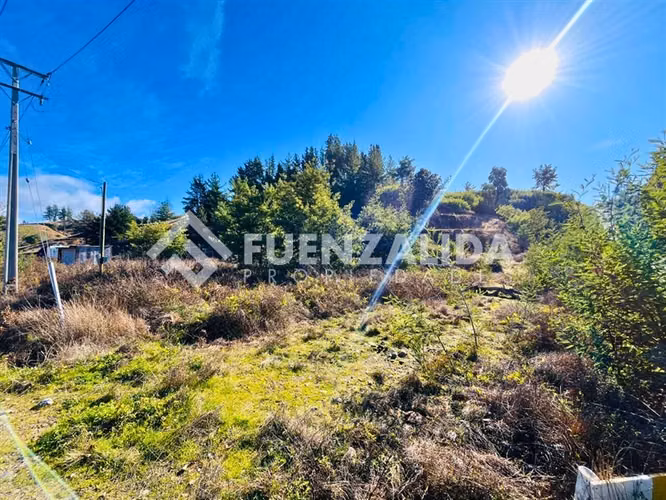 Parcela en venta a 17 km de Quillón Sector Huacamala