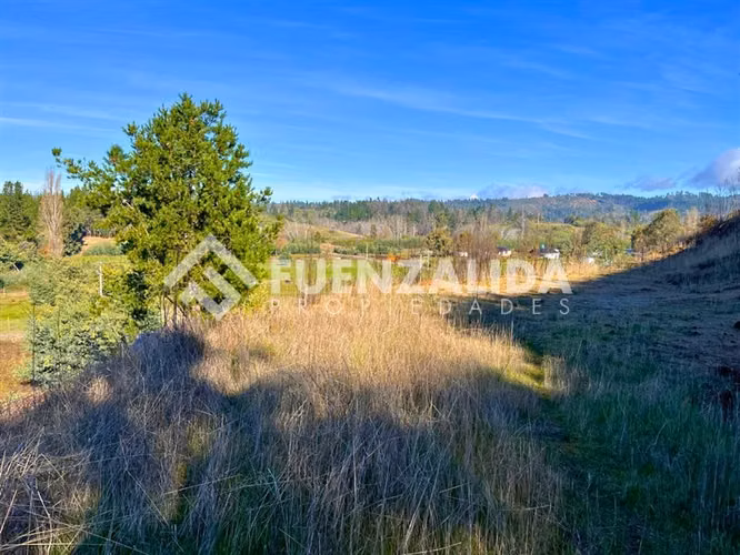 Parcela en venta a 17 km de Quillón Sector Huacamala