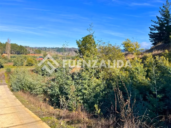Parcela en venta a 17 km de Quillón Sector Huacamala