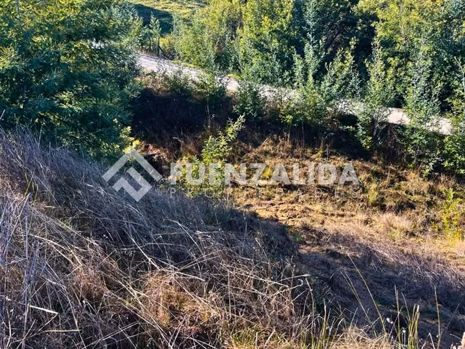 Parcela en venta a 17 km de Quillón Sector Huacamala
