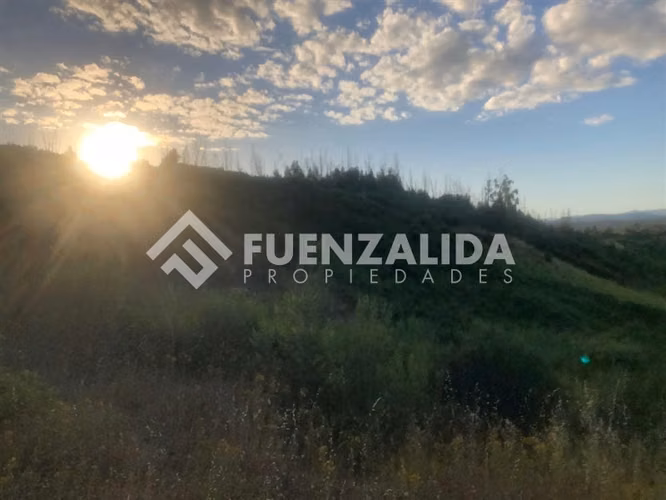 Parcela en Venta en Nacimiento, Región del Bio Bio