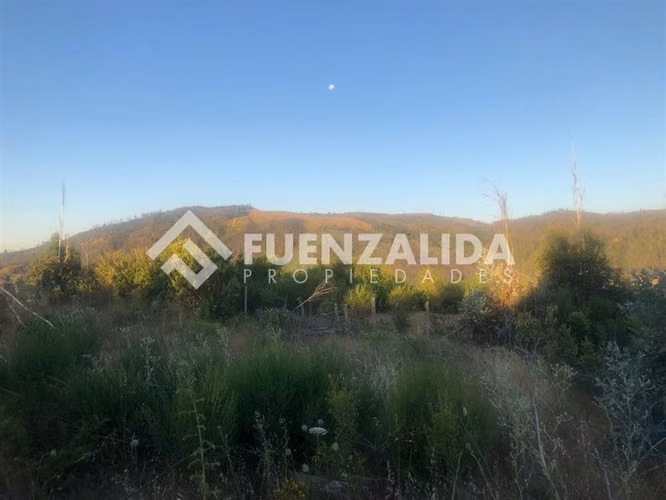 Parcela en Venta en Nacimiento, Región del Bio Bio