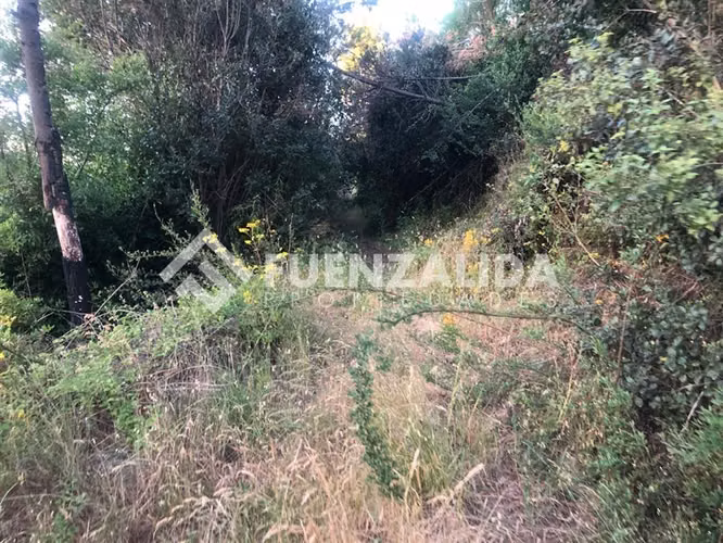 Parcela en Venta en Nacimiento, Región del Bio Bio